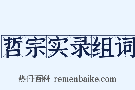 哲宗实录组词是什么意思的图片